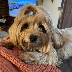 Meet your Posher, Dana